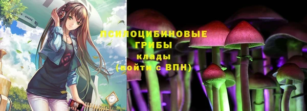 экстази Алексин