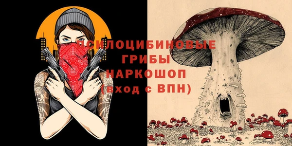 твердый Алексеевка